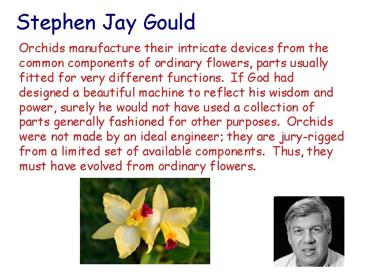 Stephen Jay Gould Orchids manufacture their intricate devices from the common components of ordinary