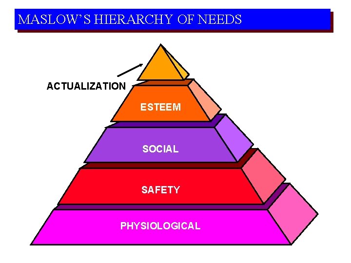 MASLOW’S HIERARCHY OF NEEDS ACTUALIZATION ESTEEM SOCIAL SAFETY PHYSIOLOGICAL 