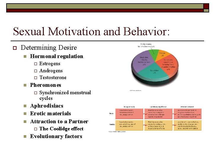 Sexual Motivation and Behavior: o Determining Desire n Hormonal regulation o o o n