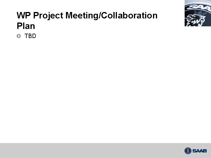 WP Project Meeting/Collaboration Plan TBD 