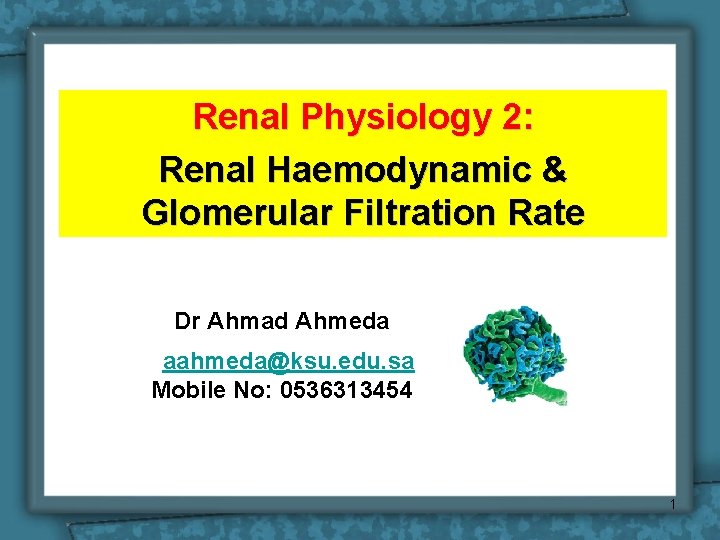 Renal Physiology 2: Renal Haemodynamic & Glomerular Filtration Rate Dr Ahmad Ahmeda aahmeda@ksu. edu.