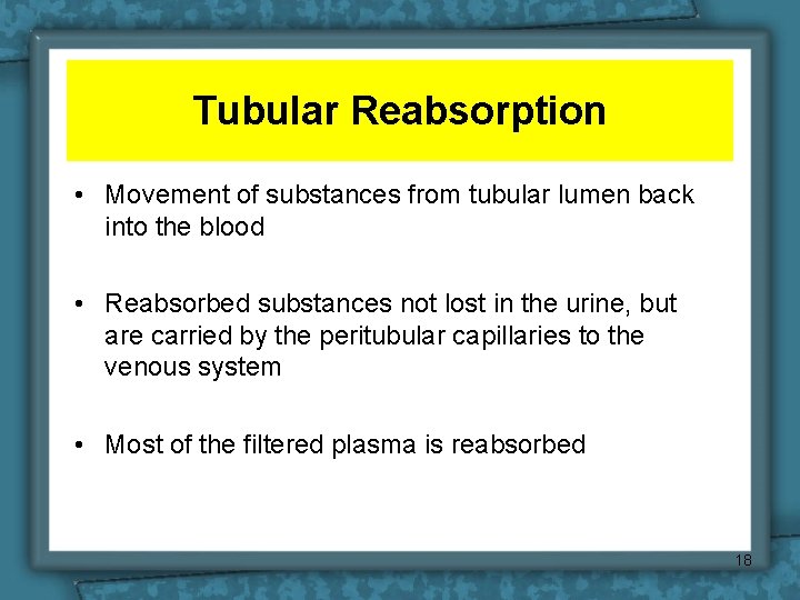 Tubular Reabsorption • Movement of substances from tubular lumen back into the blood •