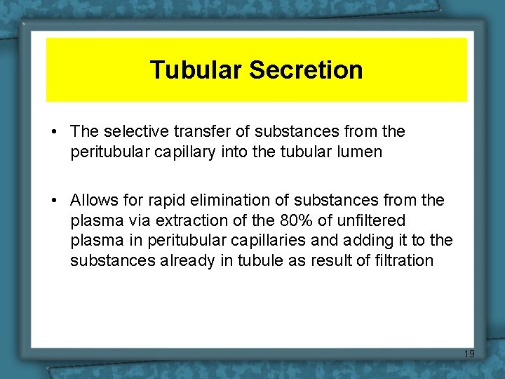 Tubular Secretion • The selective transfer of substances from the peritubular capillary into the
