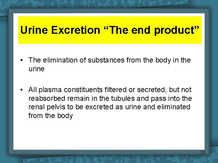 Urine Excretion “The end product” • The elimination of substances from the body in