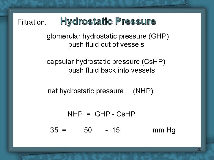 Filtration: Hydrostatic Pressure glomerular hydrostatic pressure (GHP) push fluid out of vessels capsular hydrostatic