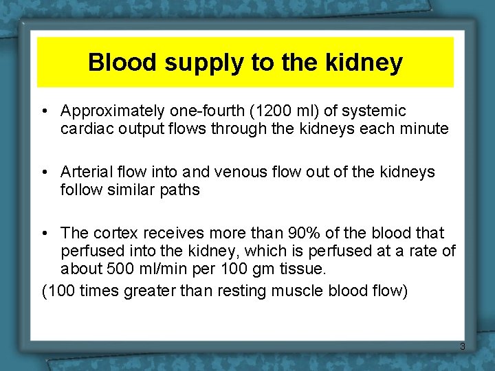 Blood supply to the kidney • Approximately one-fourth (1200 ml) of systemic cardiac output