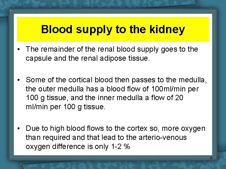Blood supply to the kidney • The remainder of the renal blood supply goes