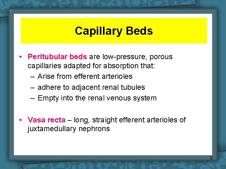 Capillary Beds • Peritubular beds are low-pressure, porous capillaries adapted for absorption that: –