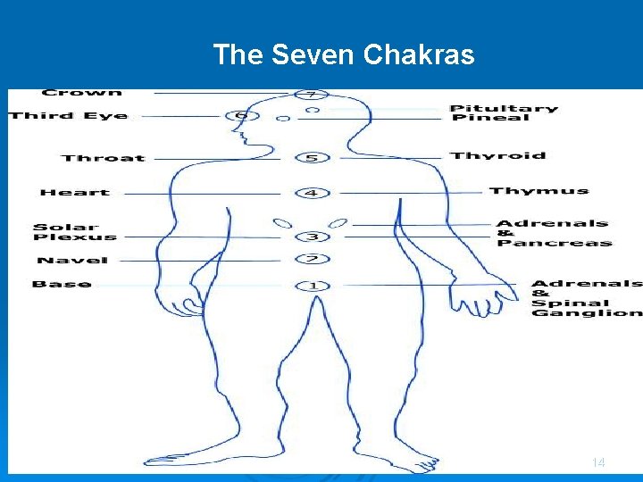 The Seven Chakras 14 14 