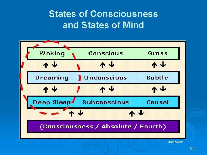 States of Consciousness and States of Mind Swami. J. com 24 