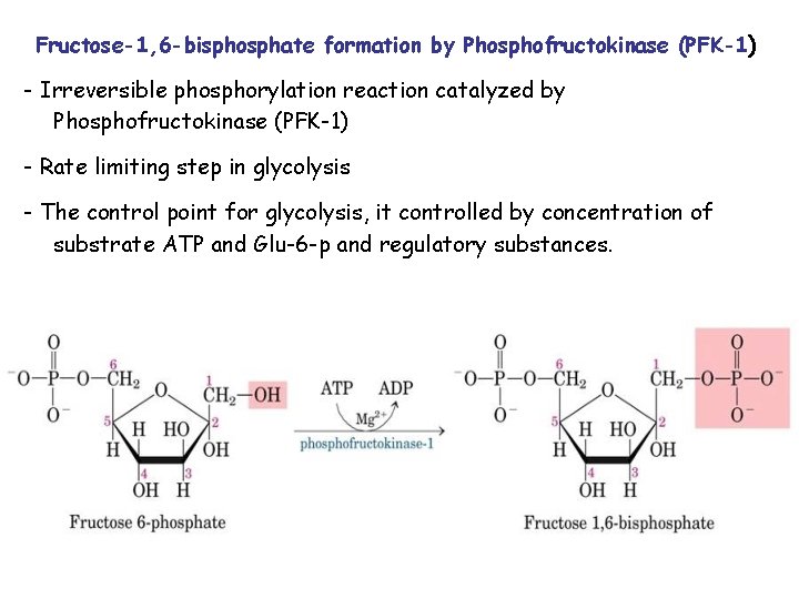 Fructose-1, 6 -bisphosphate formation by Phosphofructokinase (PFK-1) - Irreversible phosphorylation reaction catalyzed by Phosphofructokinase