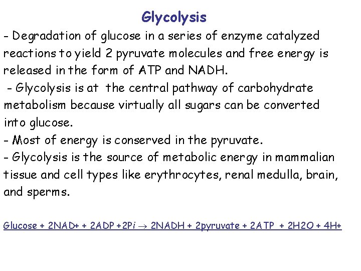 Glycolysis - Degradation of glucose in a series of enzyme catalyzed reactions to yield