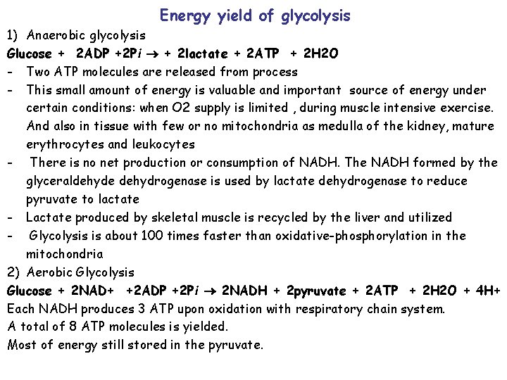 Energy yield of glycolysis 1) Anaerobic glycolysis Glucose + 2 ADP +2 Pi +