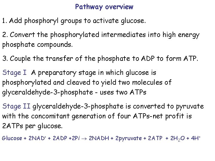 Pathway overview 1. Add phosphoryl groups to activate glucose. 2. Convert the phosphorylated intermediates