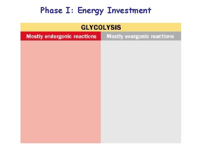 Phase I: Energy Investment 