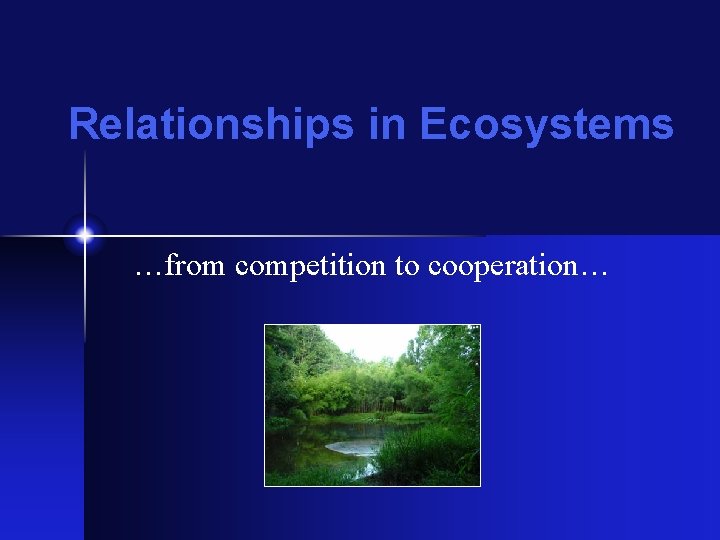 Relationships in Ecosystems …from competition to cooperation… 