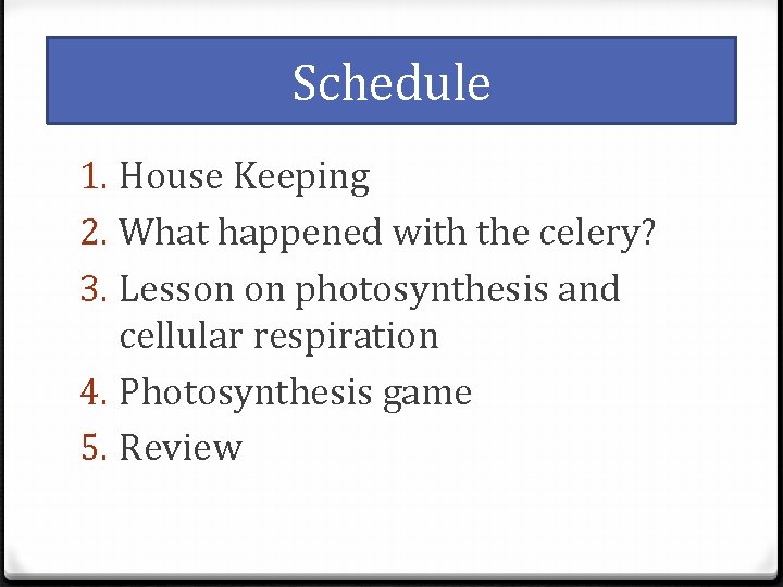 Schedule 1. House Keeping 2. What happened with the celery? 3. Lesson on photosynthesis