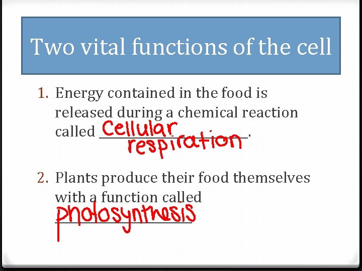 Two vital functions of the cell 1. Energy contained in the food is released