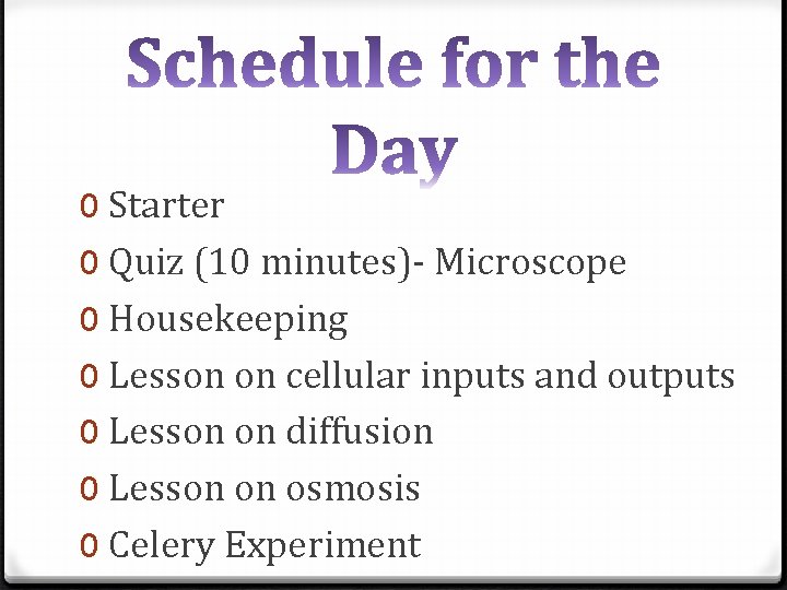 0 Starter 0 Quiz (10 minutes)- Microscope 0 Housekeeping 0 Lesson on cellular inputs