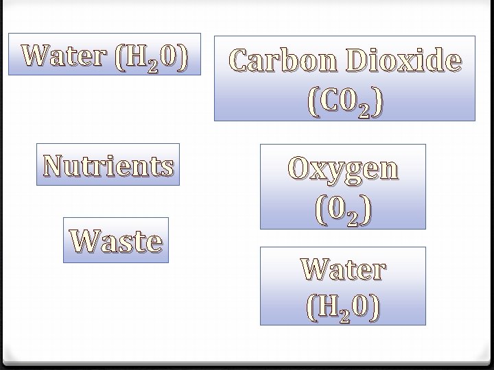 Water (H 20) Carbon Dioxide (C 02) Nutrients Oxygen (02) Waste Water (H 20)