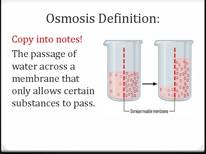 Osmosis Definition: Copy into notes! The passage of water across a membrane that only