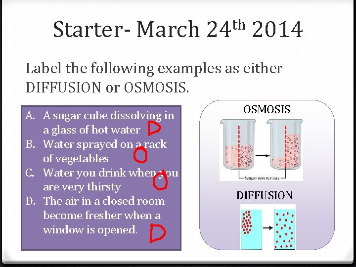 Starter- March 24 th 2014 Label the following examples as either DIFFUSION or OSMOSIS.