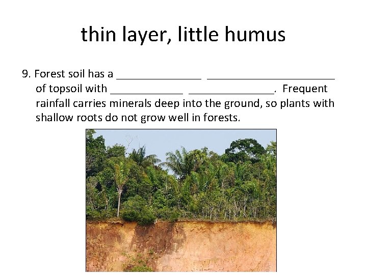 thin layer, little humus 9. Forest soil has a _____________________ of topsoil with ______________.