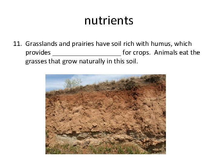 nutrients 11. Grasslands and prairies have soil rich with humus, which provides __________ for