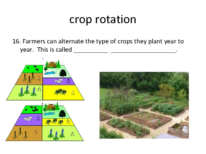 crop rotation 16. Farmers can alternate the type of crops they plant year to