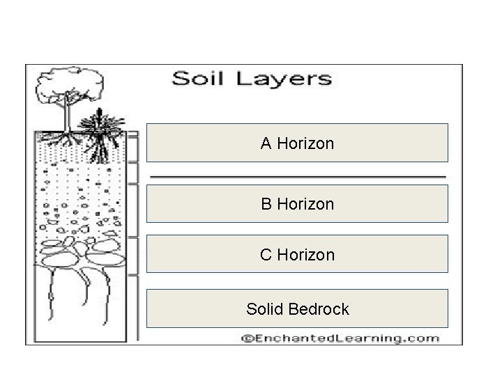 A Horizon B Horizon C Horizon Solid Bedrock 