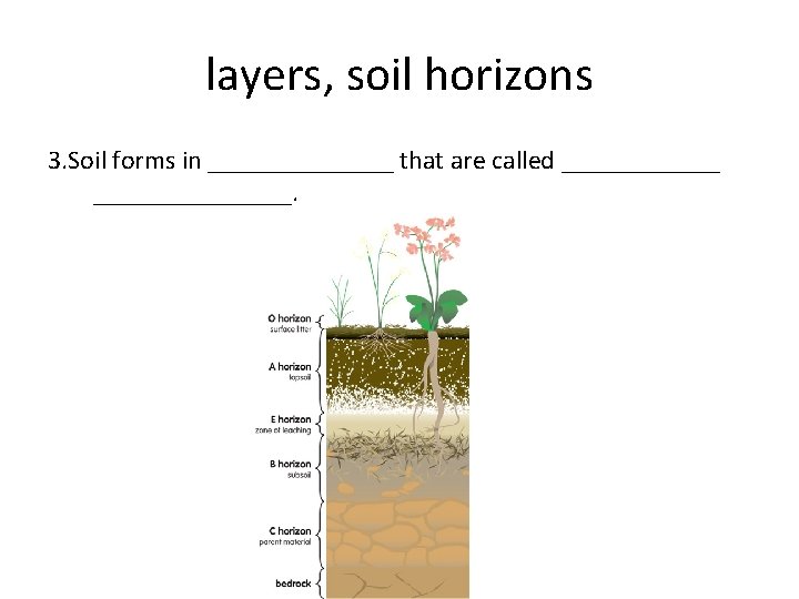 layers, soil horizons 3. Soil forms in _______ that are called _______________. 