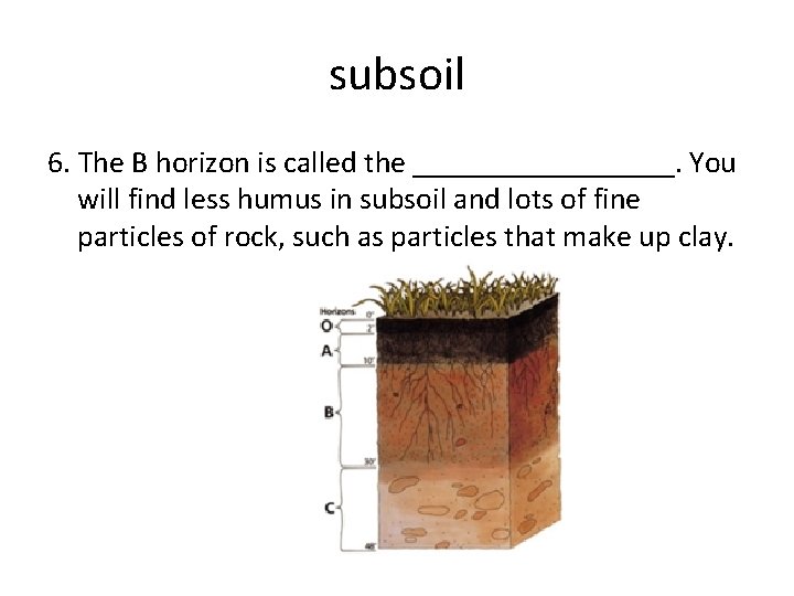 subsoil 6. The B horizon is called the _________. You will find less humus