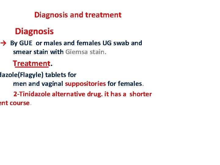 Prostatitis Lambliosis W