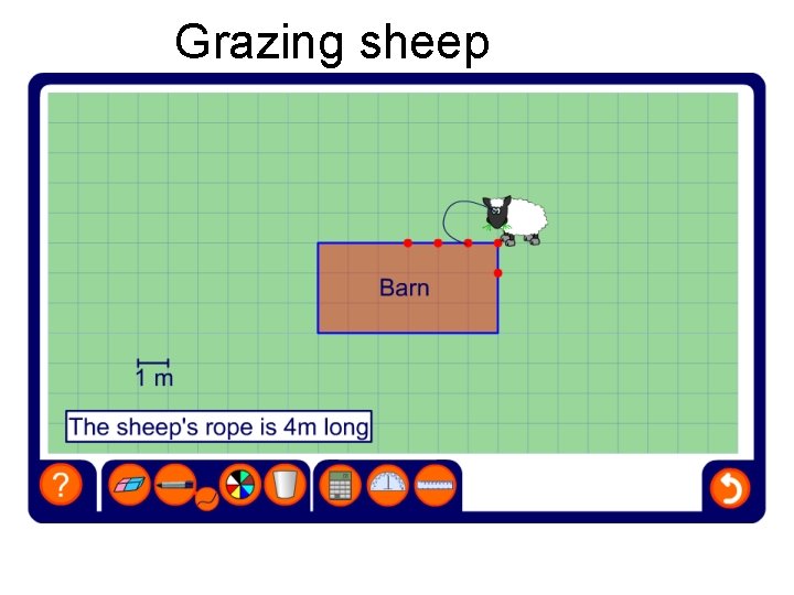 Grazing sheep 