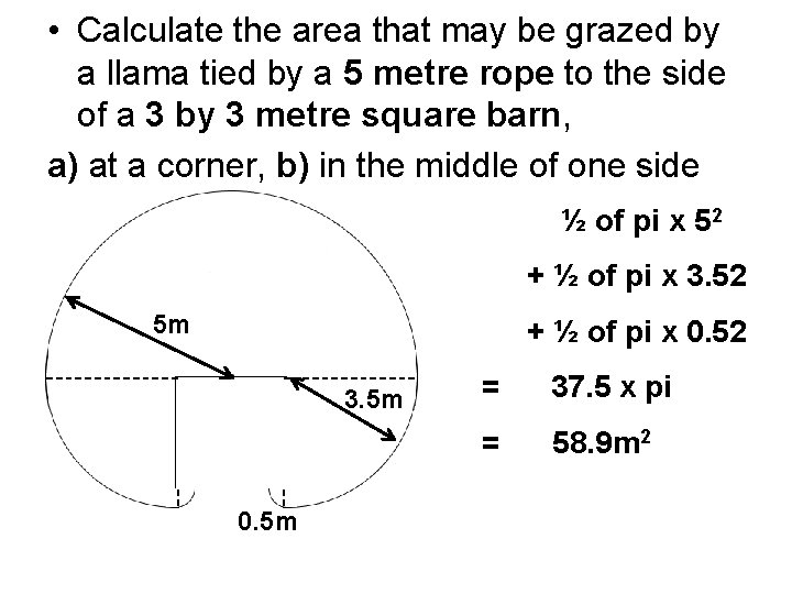  • Calculate the area that may be grazed by a llama tied by