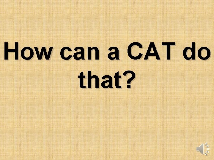 How can a CAT do that? 