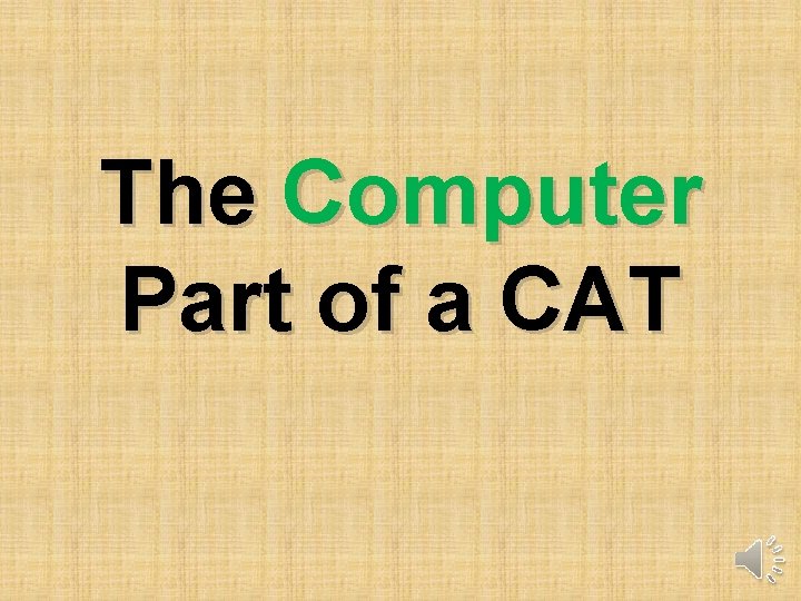 The Computer Part of a CAT 