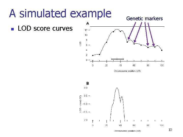 A simulated example n Genetic markers LOD score curves 10 
