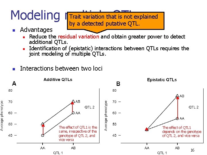 Trait variation that is not explained Modeling multiple QTLs by a detected putative QTL.