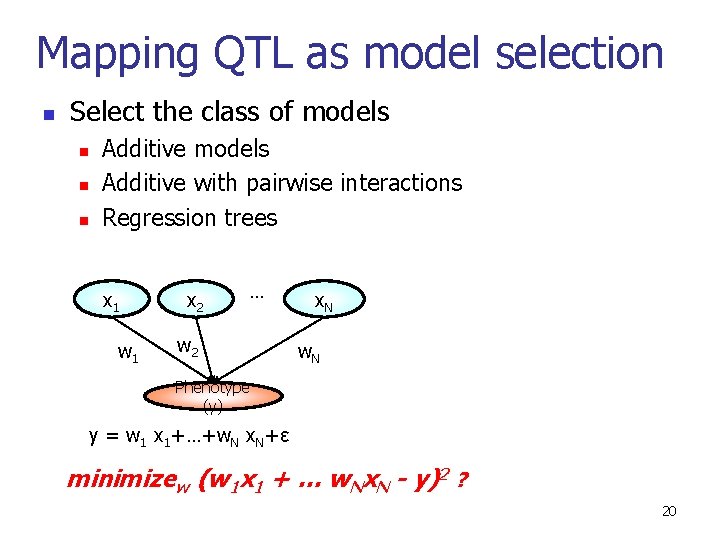 Mapping QTL as model selection n Select the class of models n n n