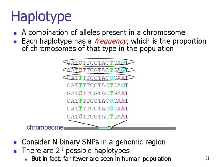 Haplotype n n A combination of alleles present in a chromosome Each haplotype has