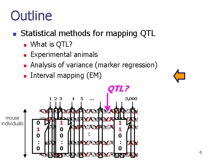 Outline n Statistical methods for mapping QTL n n What is QTL? Experimental animals