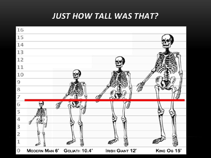 JUST HOW TALL WAS THAT? 