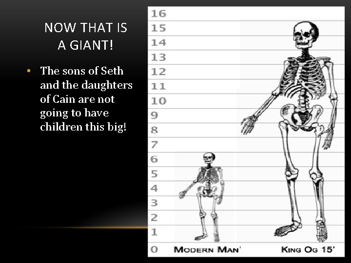 NOW THAT IS A GIANT! • The sons of Seth and the daughters of