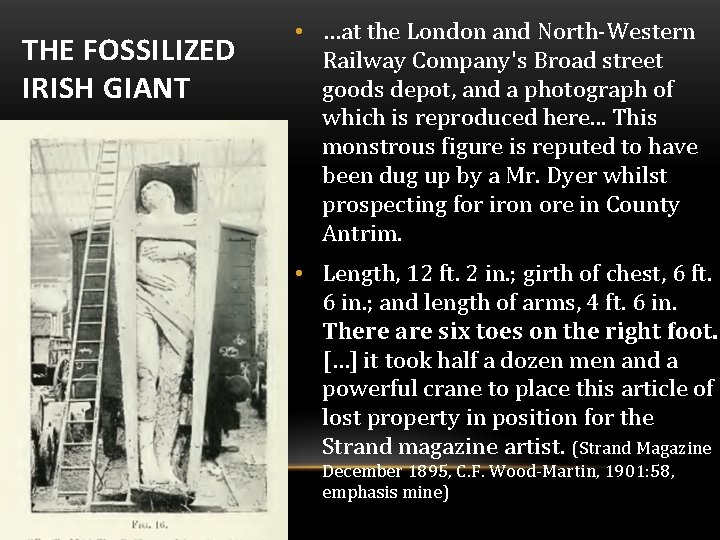 THE FOSSILIZED IRISH GIANT • …at the London and North-Western Railway Company's Broad street
