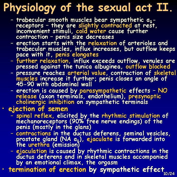 Physiology of the sexual act II. – trabecular smooth muscles bear sympathetic α 1