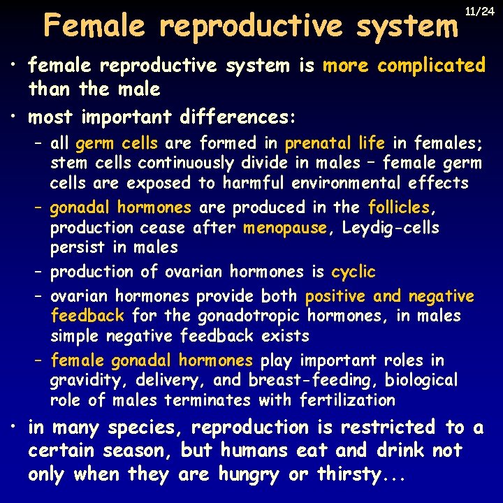 Female reproductive system 11/24 • female reproductive system is more complicated than the male