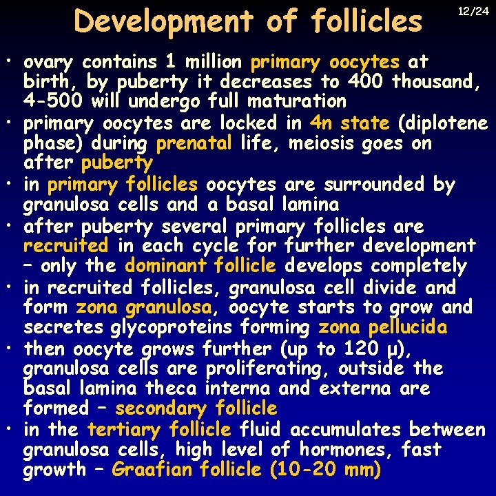 Development of follicles 12/24 • ovary contains 1 million primary oocytes at birth, by