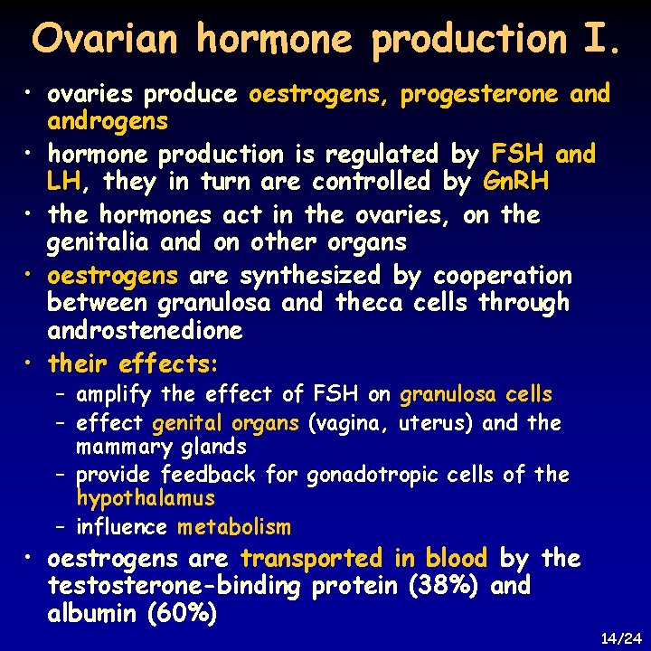 Ovarian hormone production I. • ovaries produce oestrogens, progesterone androgens • hormone production is
