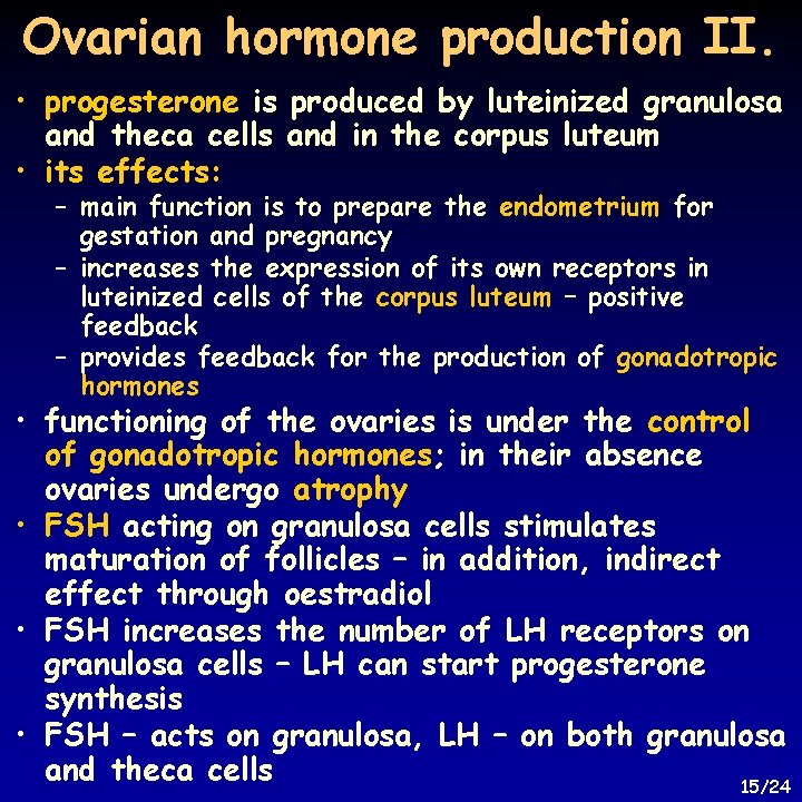 Ovarian hormone production II. • progesterone is produced by luteinized granulosa and theca cells
